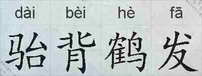 骀背鹤发的拼音