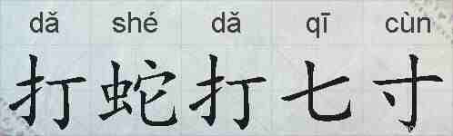 打蛇打七寸的拼音