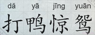 打鸭惊鸳的拼音