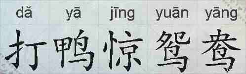 打鸭惊鸳鸯的拼音