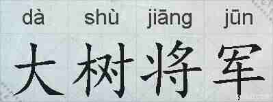 大树将军的拼音