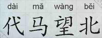 代马望北的拼音
