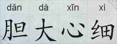 胆大心细的拼音