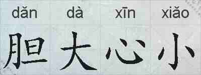 胆大心小的拼音