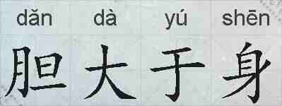 胆大于身的拼音