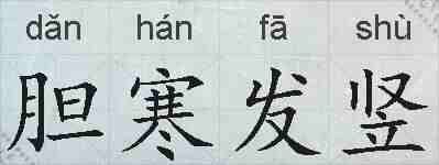 胆寒发竖的拼音
