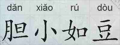 胆小如豆的拼音