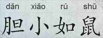 胆小如鼠的拼音