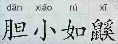 胆小如鼷的拼音