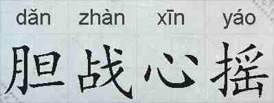 胆战心摇的拼音
