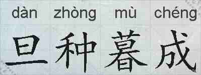 旦种暮成的拼音