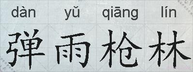 弹雨枪林的拼音