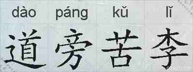 道旁苦李的拼音