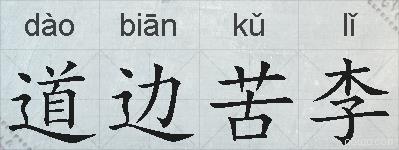 道边苦李的拼音