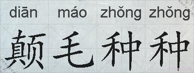 颠毛种种的拼音