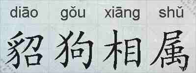 貂狗相属的拼音