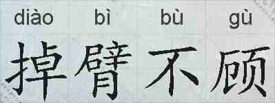 掉臂不顾的拼音
