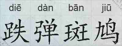 跌弹斑鸠的拼音