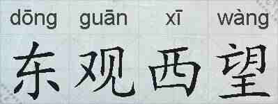 东观西望的拼音