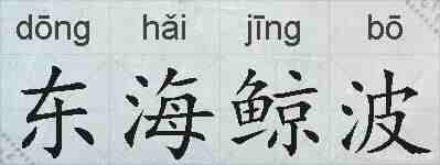 东海鲸波的拼音