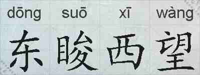 东睃西望的拼音