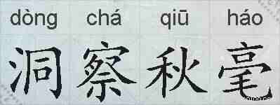 洞察秋毫的拼音