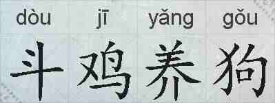 斗鸡养狗的拼音