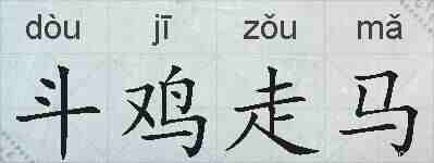 斗鸡走马的拼音