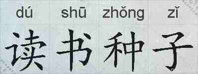 读书种子的拼音