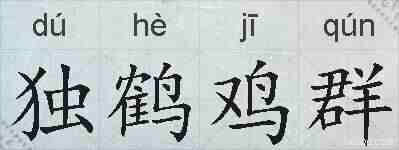 独鹤鸡群的拼音