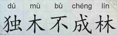 独木不成林的拼音