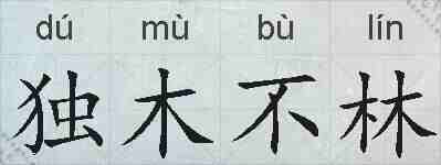 独木不林的拼音