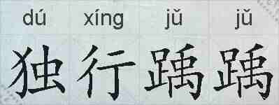 独行踽踽的拼音