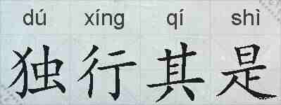 独行其是的拼音