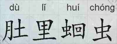 肚里蛔虫的拼音