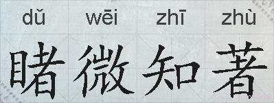 睹微知著的拼音