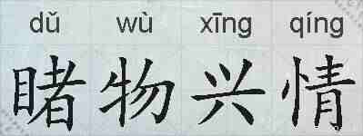 睹物兴情的拼音