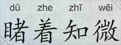 睹着知微的拼音