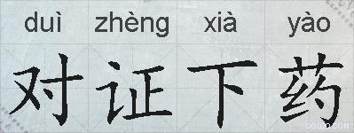 对证下药的拼音