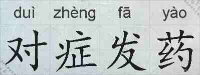 对症发药的拼音