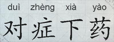 对症下药的拼音