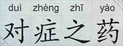 对症之药的拼音