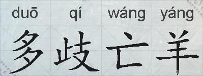 多歧亡羊的拼音