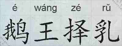 鹅王择乳的拼音
