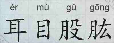 耳目股肱的拼音