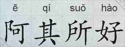阿其所好的拼音