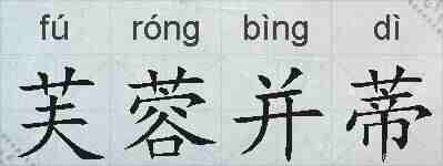 芙蓉并蒂的拼音