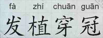 发植穿冠的拼音
