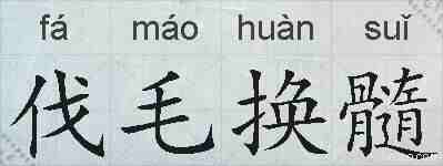 伐毛换髓的拼音