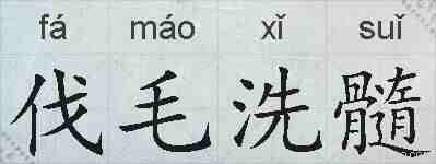 伐毛洗髓的拼音